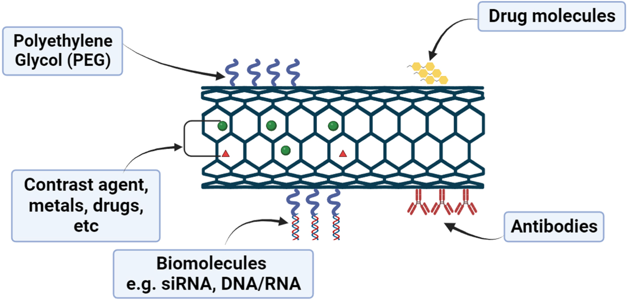 Nano-based drug delivery system for therapeutics: a comprehensive ...