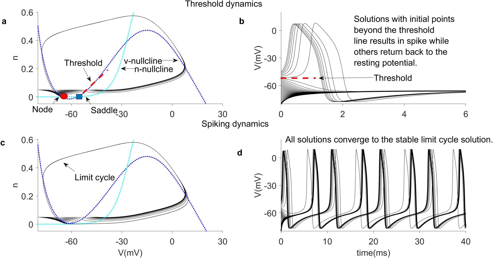Representation of single neuron dynamics using 1-D and 2-D Discrete ...