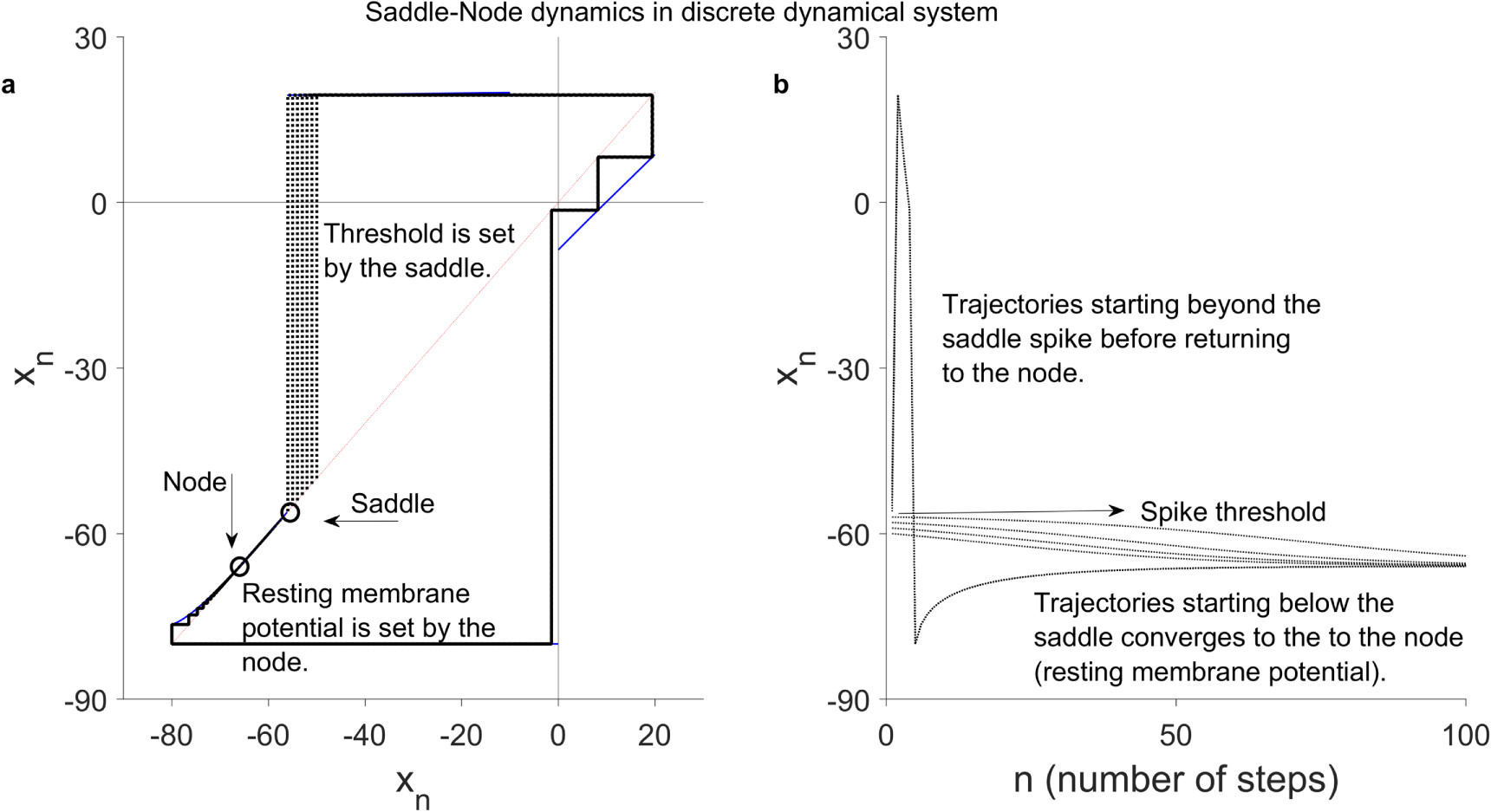Node Level Dynamic Representation of single neuron dynamics using 1-D and 2-D Discrete ...