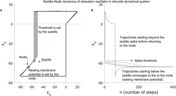 Representation of single neuron dynamics using 1-D and 2-D Discrete ...