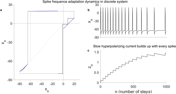 Representation of single neuron dynamics using 1-D and 2-D Discrete ...