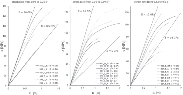 A strain rate dependent model with decreasing Young’s Modulus for ...