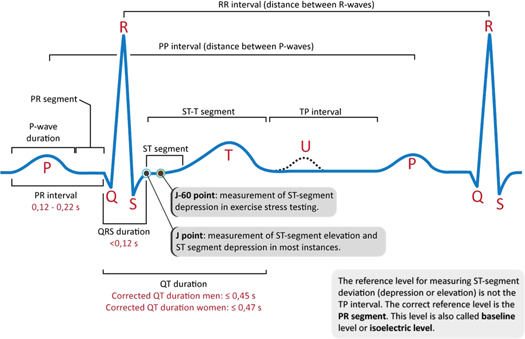 Classification of electrocardiogram signals using deep learning based ...