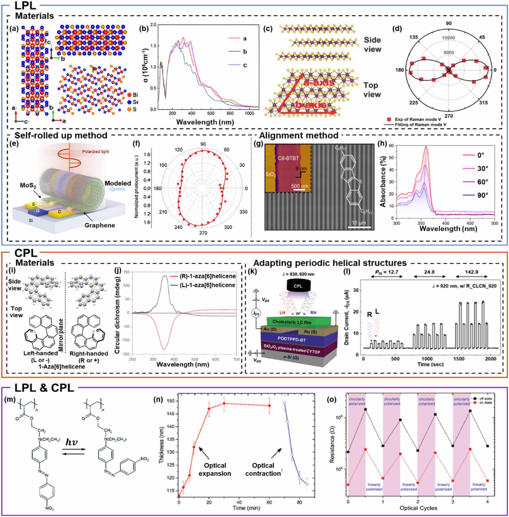 Polarized light-sensitive optoelectronic synapses for expanding ...