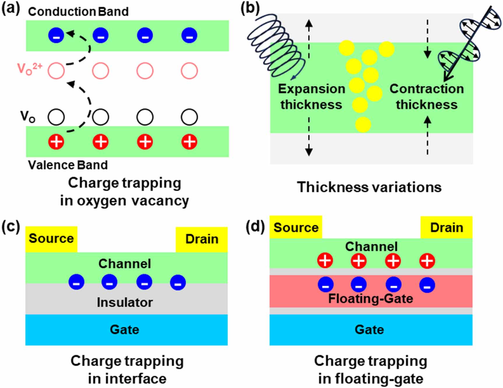 Polarized light-sensitive optoelectronic synapses for expanding ...