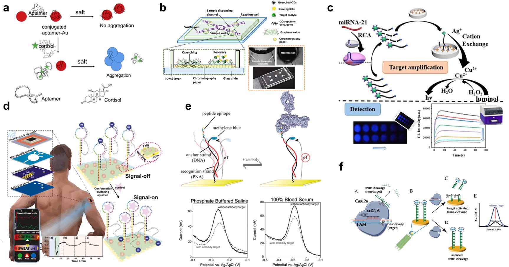 Recent advances in wearable sweat sensors using functional nucleic ...