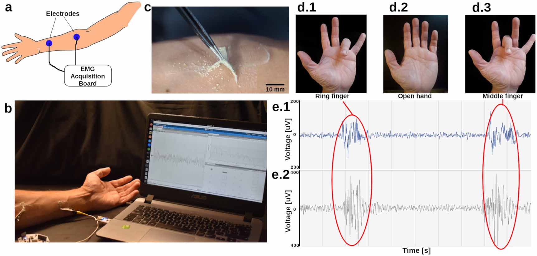 Bio-inspired soft electrodes for robust and reusable bioelectronic ...