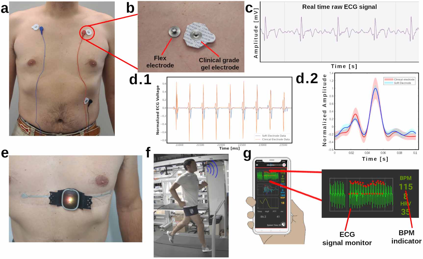 Bio-inspired soft electrodes for robust and reusable bioelectronic ...