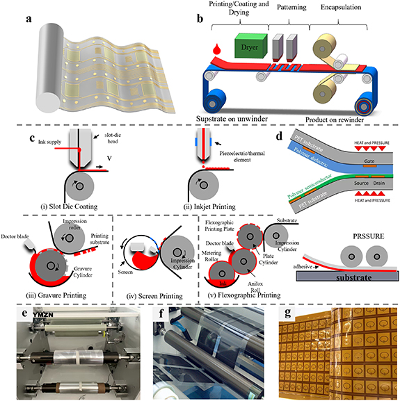 Flexible and printed electronics manufacturing in China - IOPscience