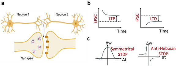 Recent advances in self-healing organic memristors and transistors for ...