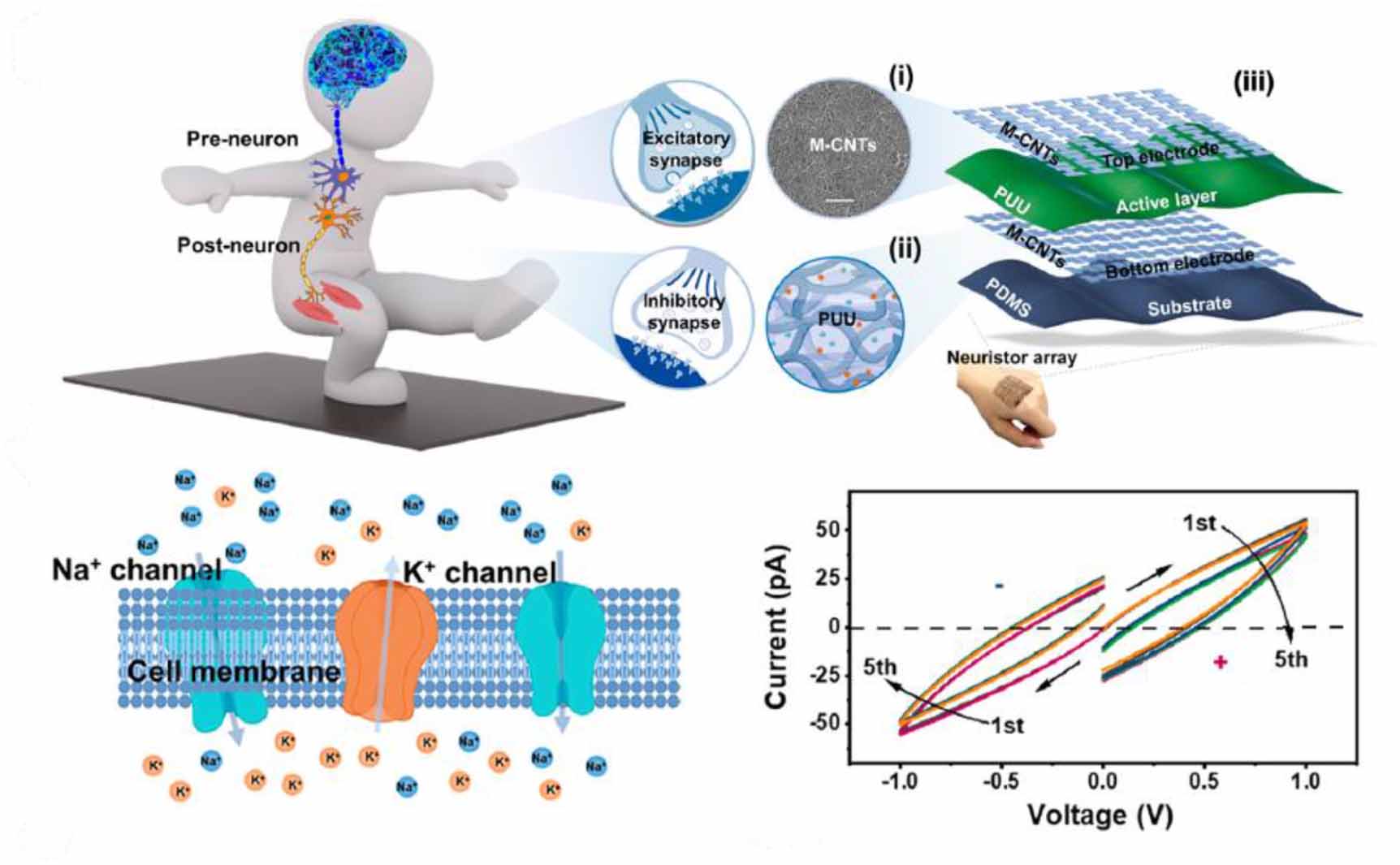Recent advances in self-healing organic memristors and transistors for ...