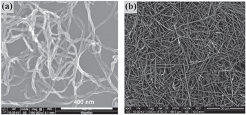 Figure 8. Refer to the following caption and surrounding text.