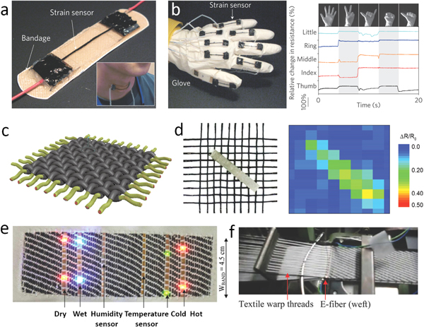 sei  Flexible fiber-shaped energy storage devices: principles