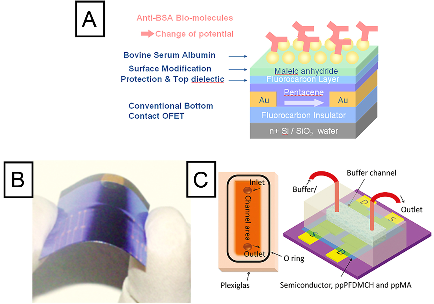 Electronic biosensing with flexible organic transistor devices - IOPscience