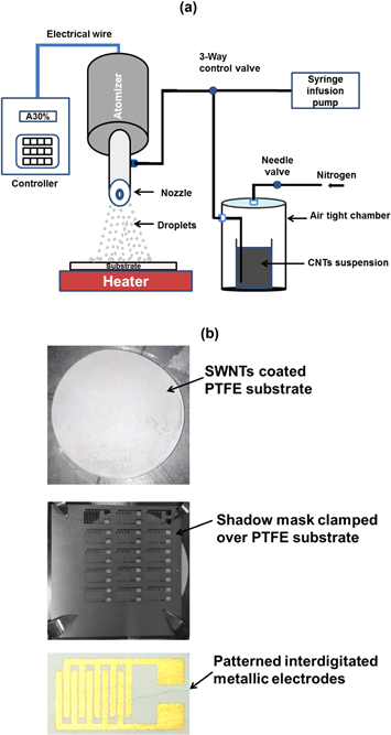 Flexible NO2 gas sensor based on single-walled carbon nanotubes on ...
