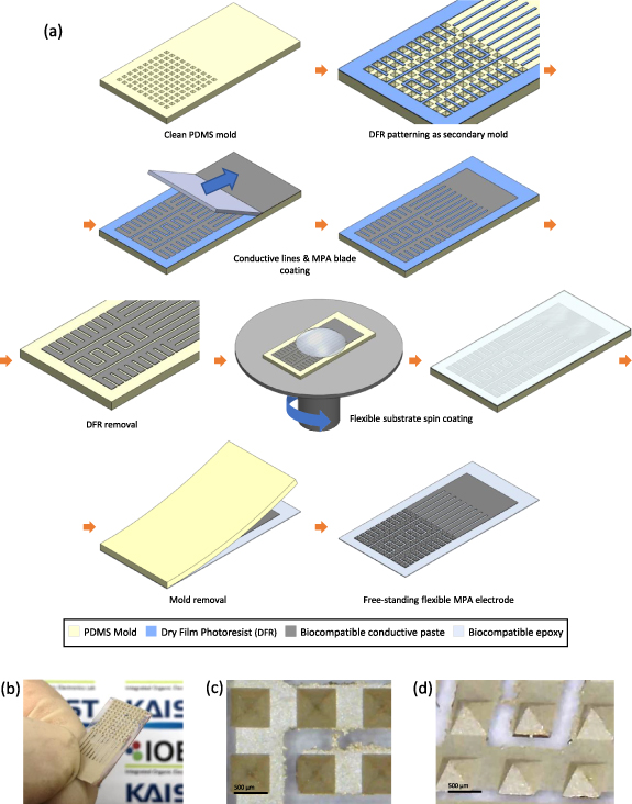 Micromolding fabrication of biocompatible dry micro-pyramid array ...