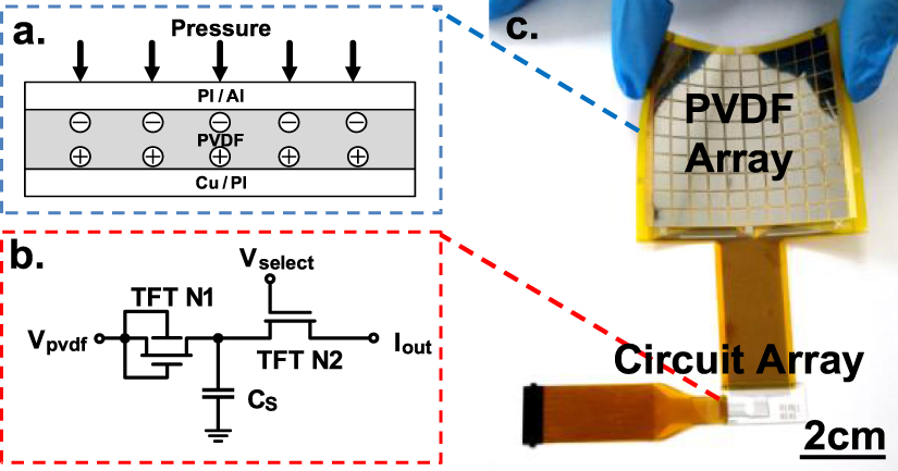 A robust and flexible pulse wave sensory array enabling real-time non ...
