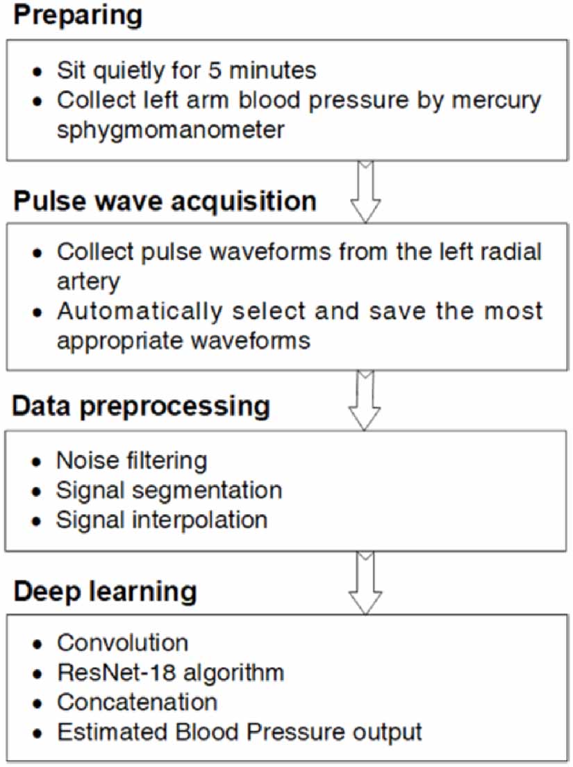 A robust and flexible pulse wave sensory array enabling real-time non ...