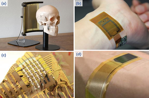 Thin-film transistor arrays for biological sensing systems - IOPscience