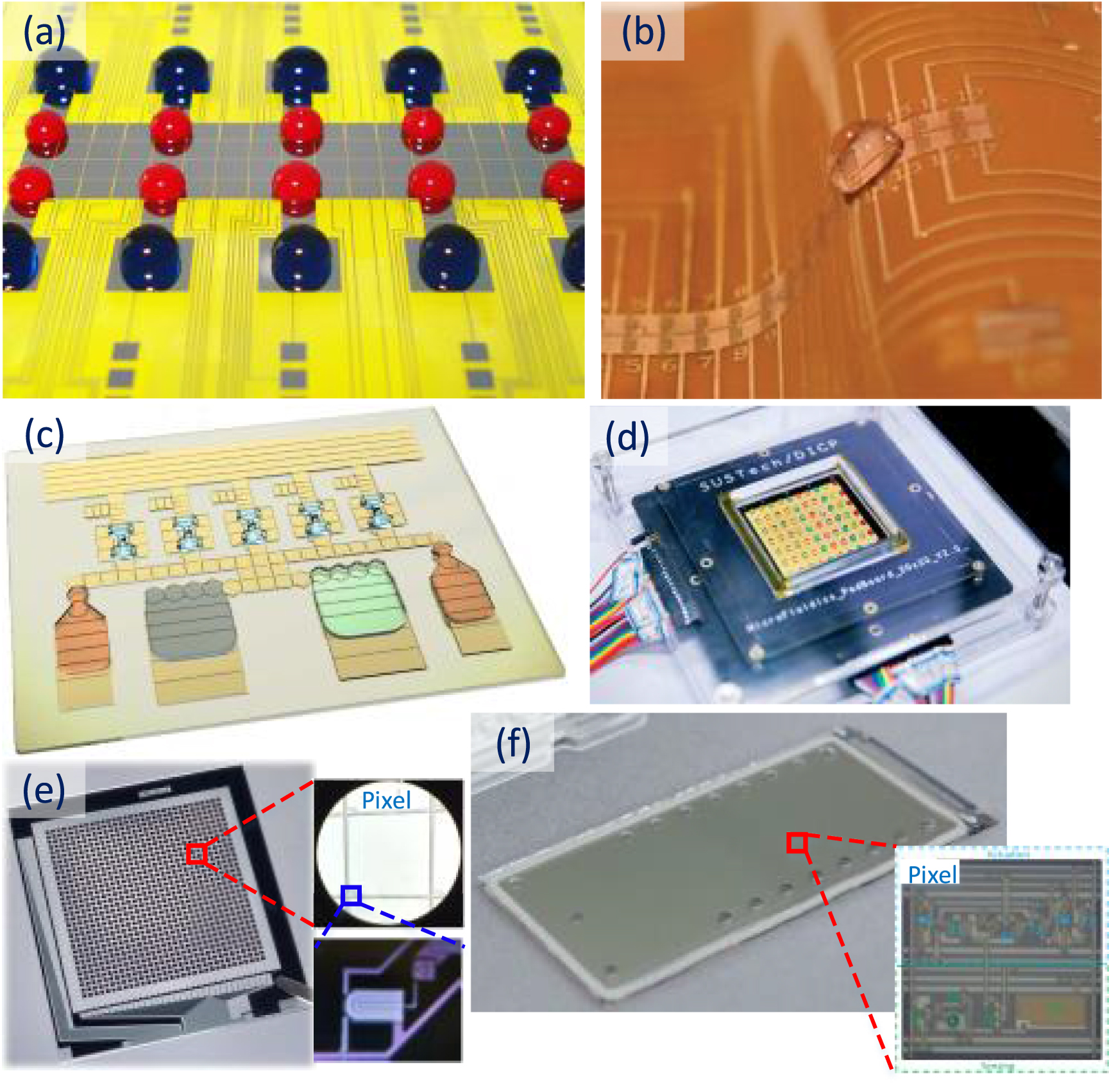 Thin-film transistor arrays for biological sensing systems - IOPscience