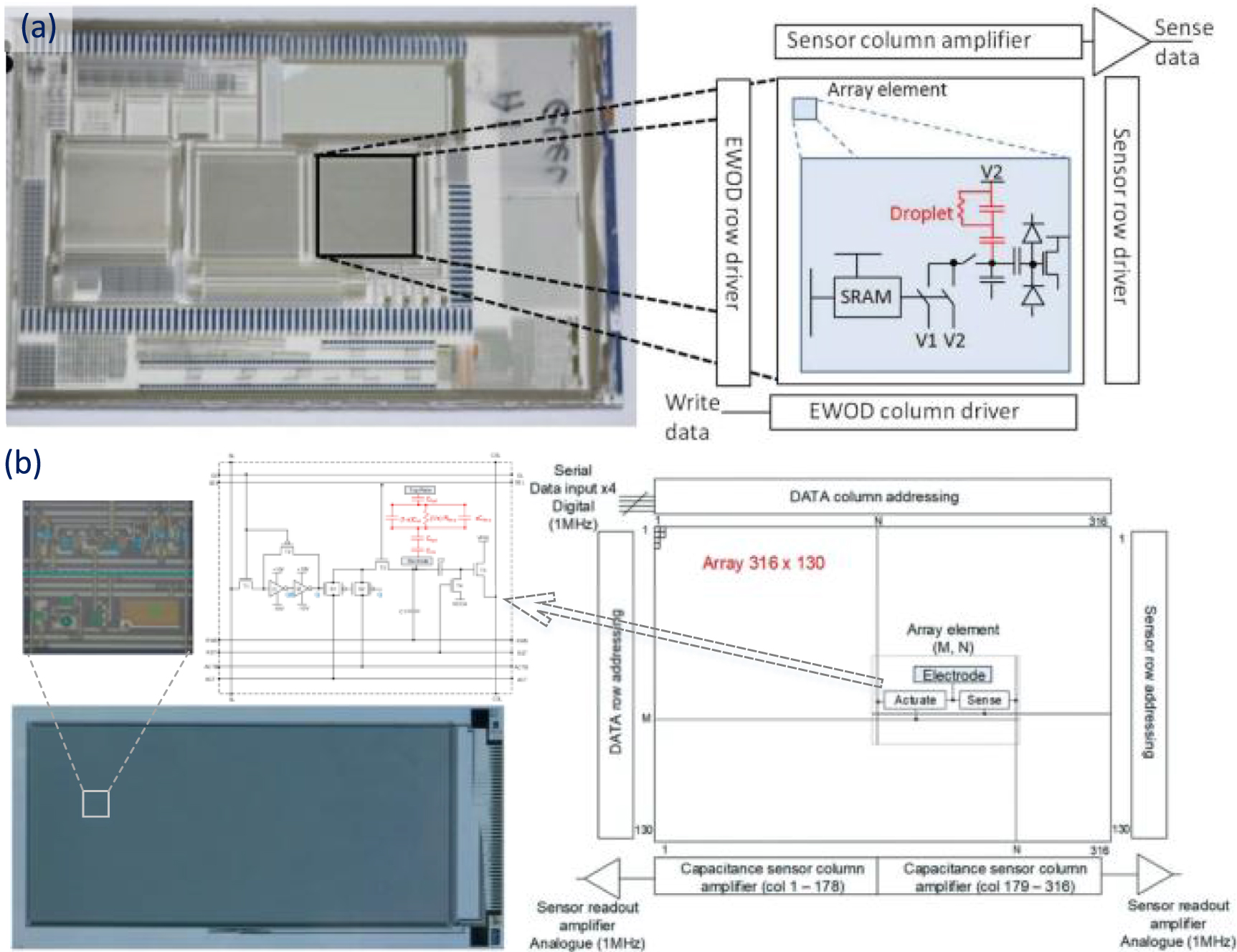 Thin-film transistor arrays for biological sensing systems - IOPscience