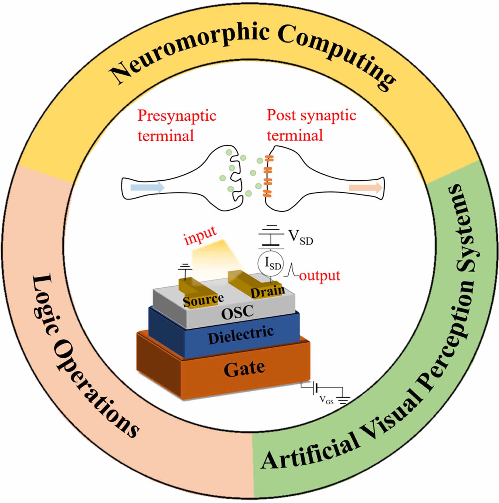 Recent progresses of organic photonic synaptic transistors