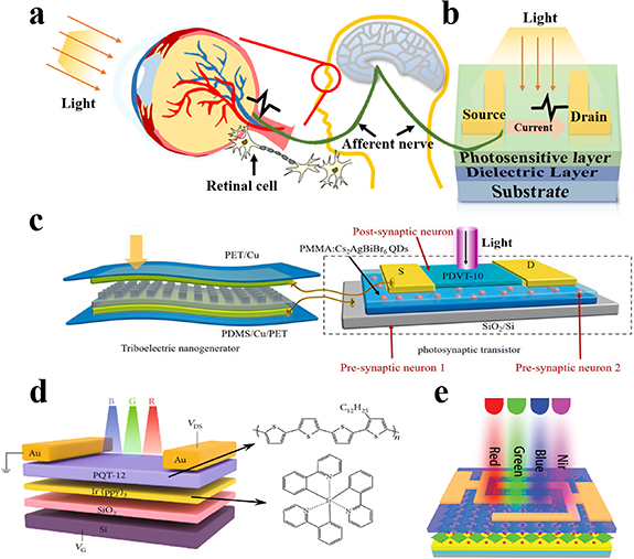 code―text and figure The Role of Machine Learning in Tribology: A Systematic
