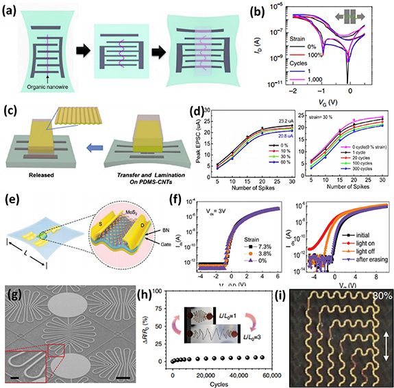 Flexible and stretchable synaptic devices for wearable neuromorphic ...