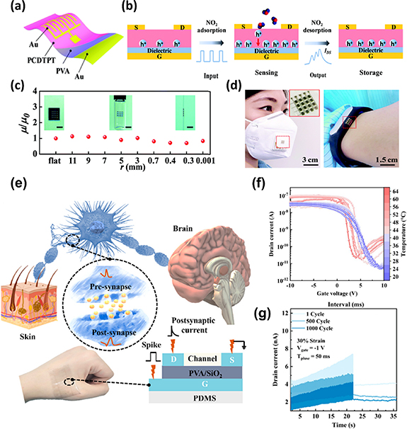 Flexible and stretchable synaptic devices for wearable neuromorphic ...