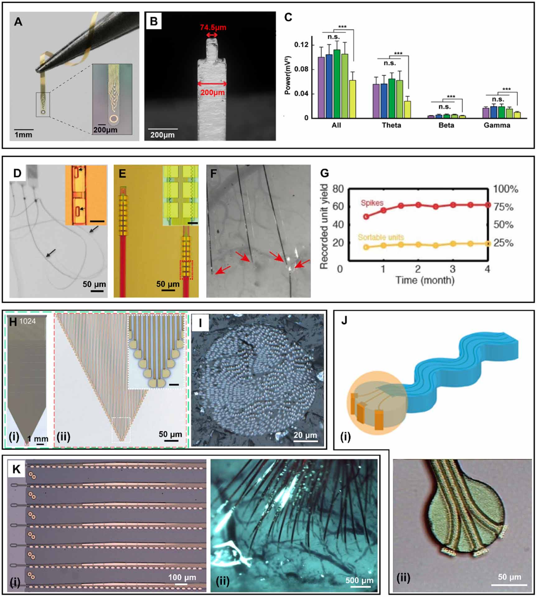 Flexible intracortical probes for stable neural recording: from the ...