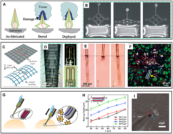 Flexible intracortical probes for stable neural recording: from the ...