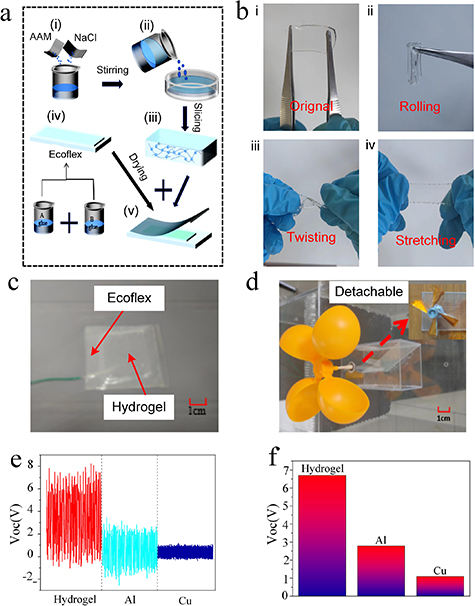 Flexible self-powered triboelectric nanogenerator sensor for wind speed ...