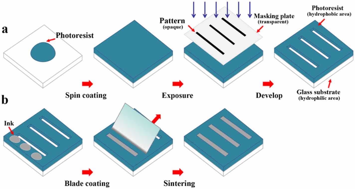 Profile improvement of blade coated circuits by the capillary force ...