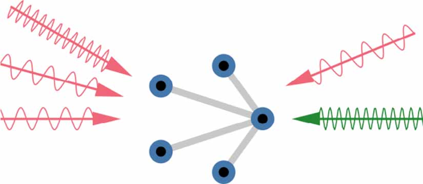 Selective and noise-resilient wave estimation with quantum sensor ...