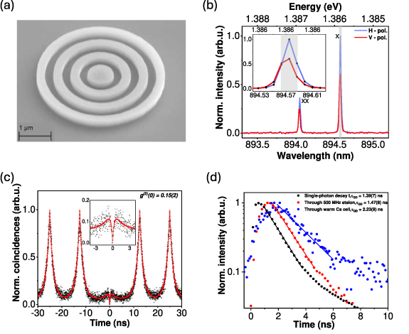 Storage of single photons from a semiconductor quantum dot in a room ...