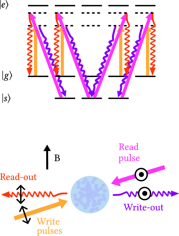 Collective vacuum Rabi splitting with an atomic spin wave coupled to a ...