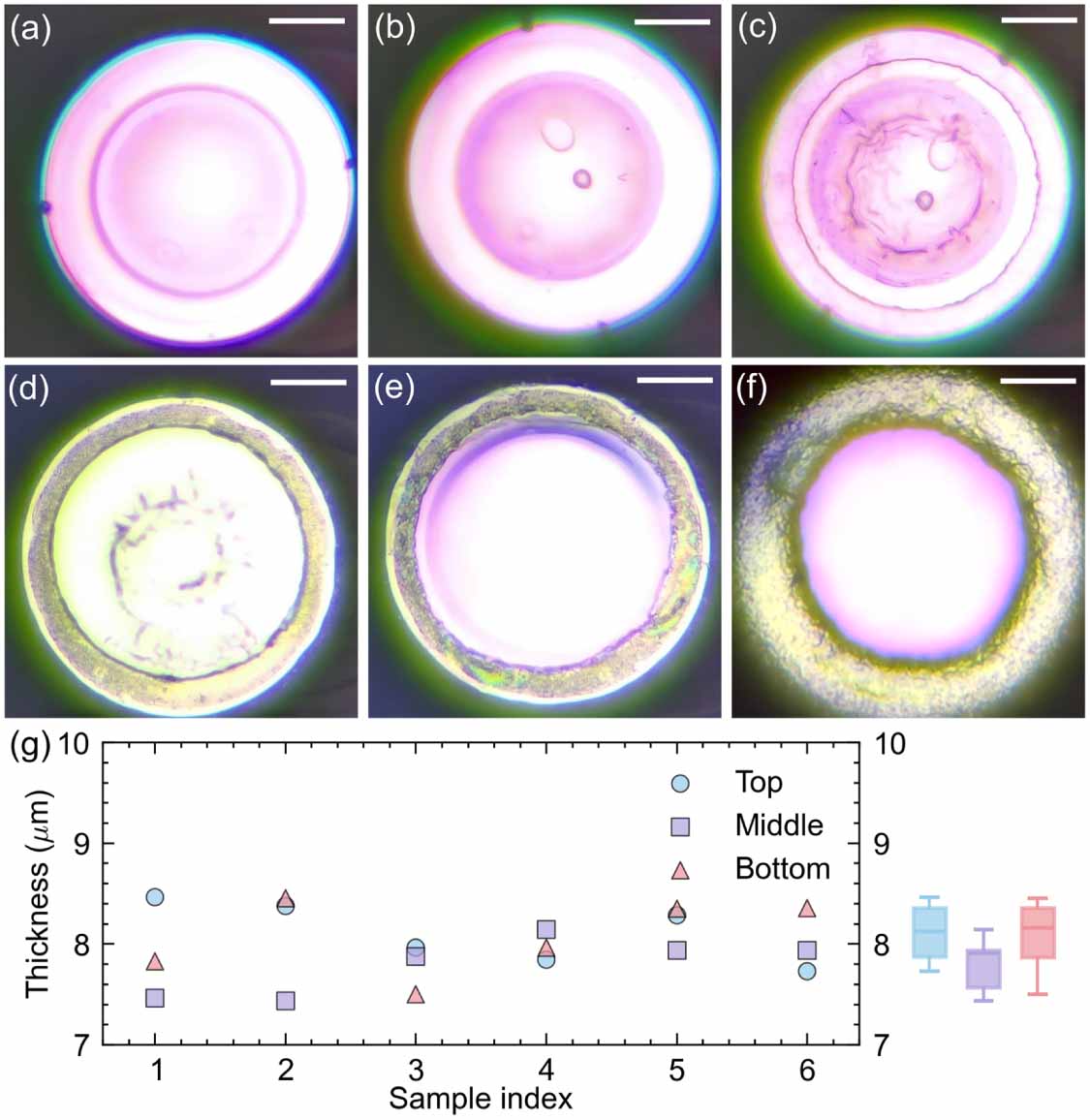 Design and fabrication of metal-shielded fiber-cavity mirrors for ion ...