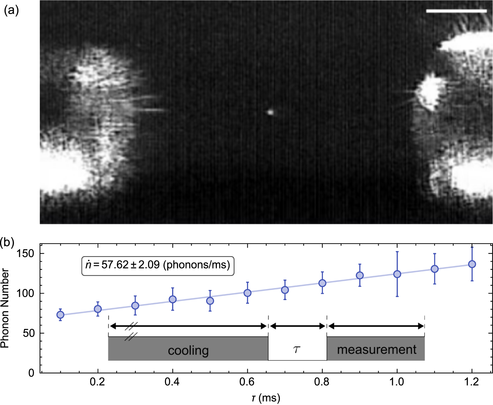 Design and fabrication of metal-shielded fiber-cavity mirrors for ion ...