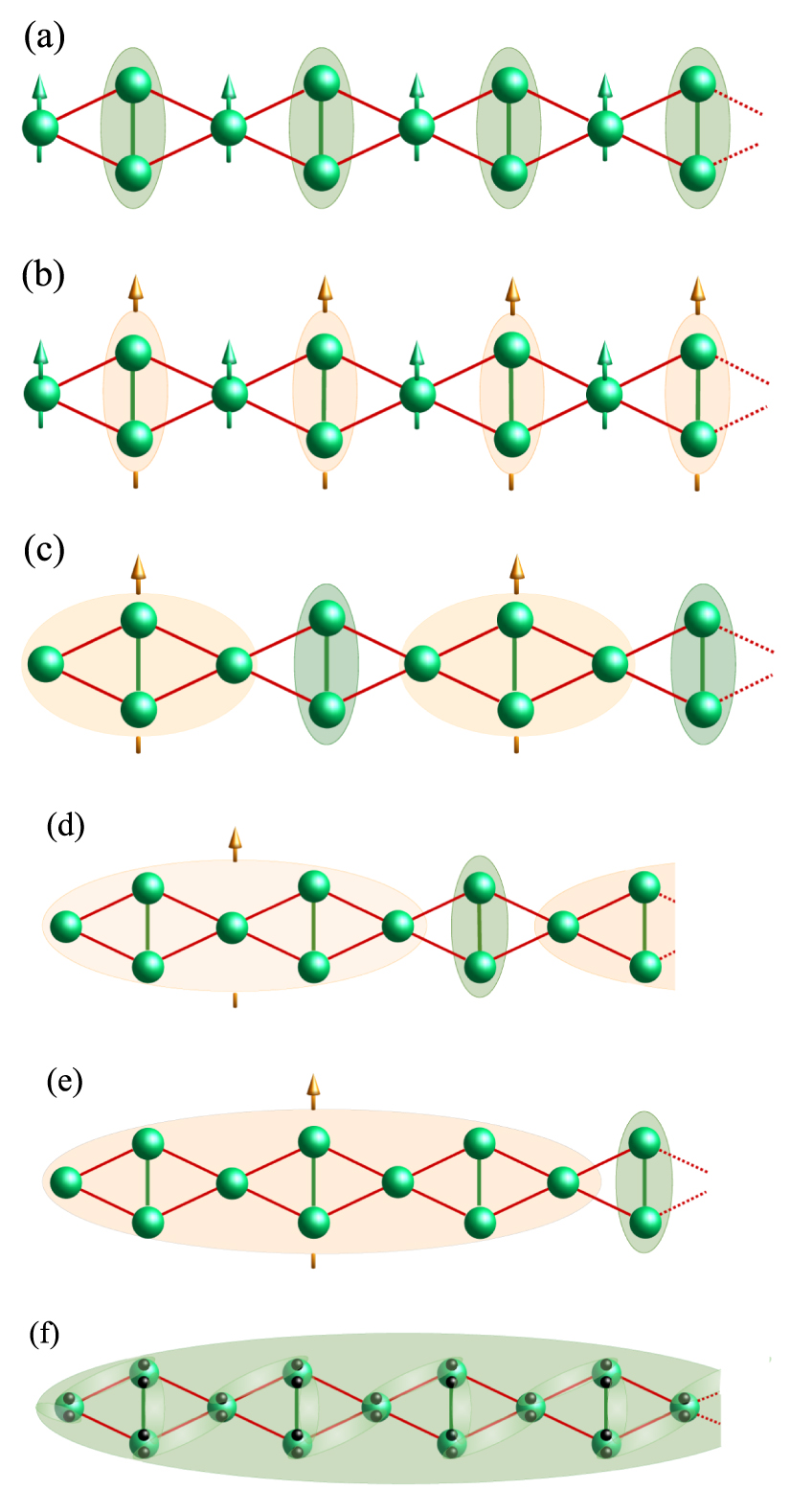 Fingerprints of cluster-based Haldane and bound-magnon states in a spin ...
