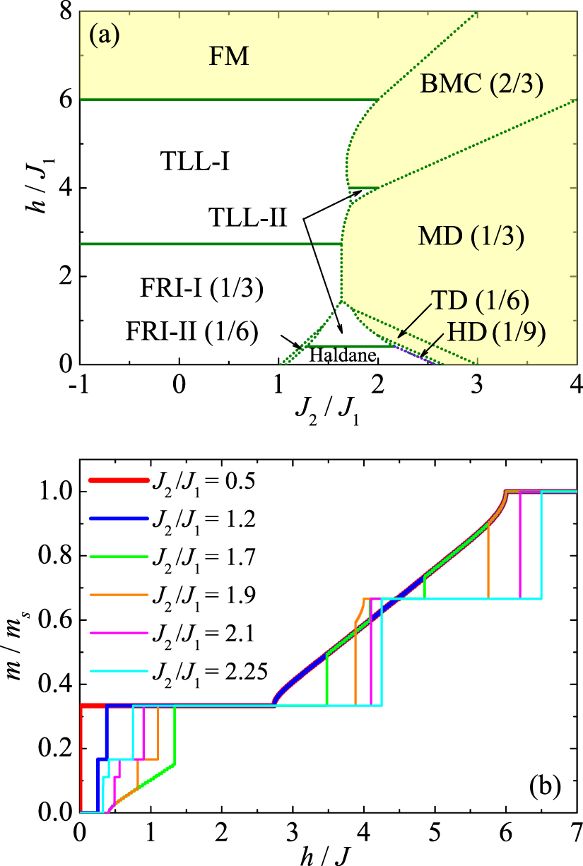 Fingerprints of cluster-based Haldane and bound-magnon states in a spin ...
