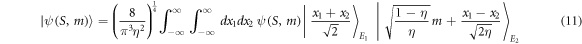 Equation (11)