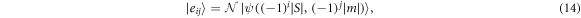 Equation (14)
