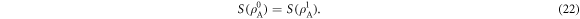 Equation (22)