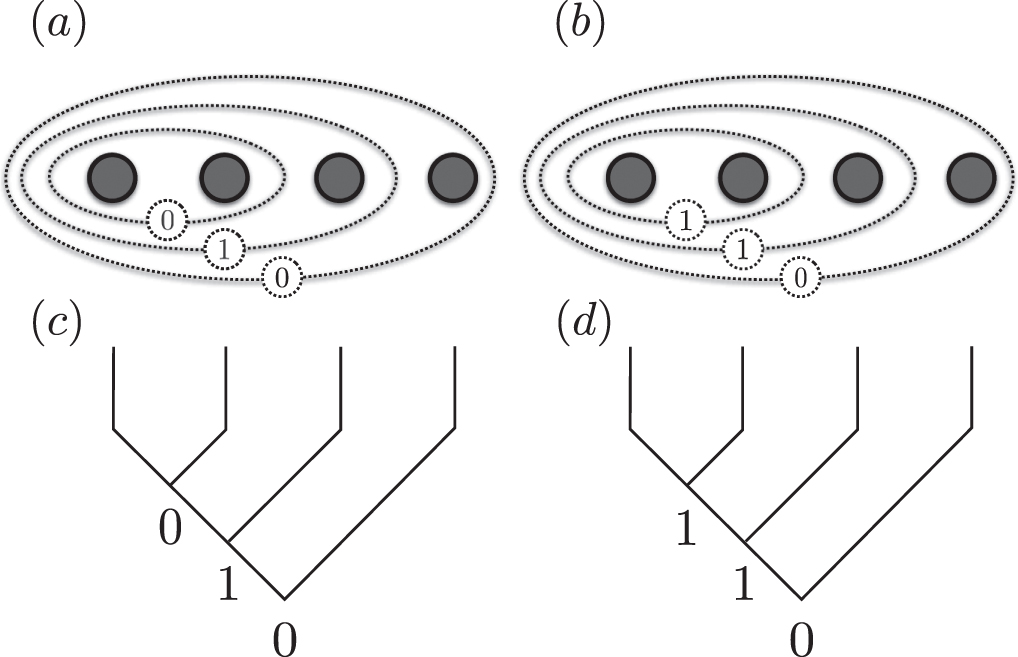 Introduction to topological quantum computation with non-Abelian anyons ...