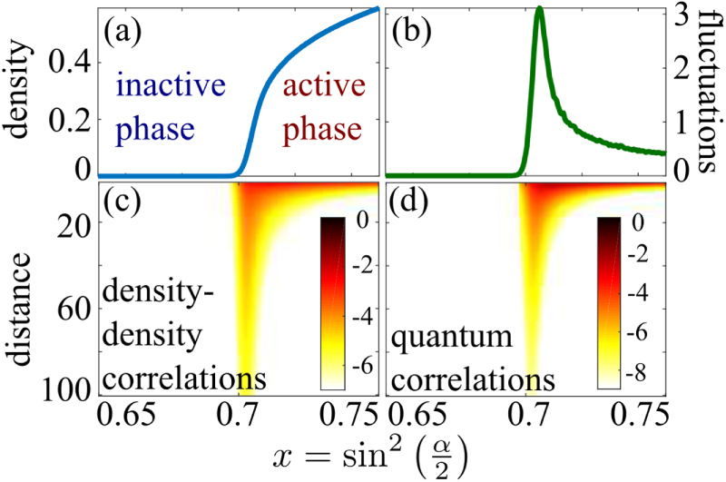 Non-equilibrium absorbing state phase transitions in discrete-time ...
