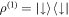 ${\rho }^{(1)}=\left|\downarrow ,\rangle \right\rangle \left\langle \downarrow \right|$