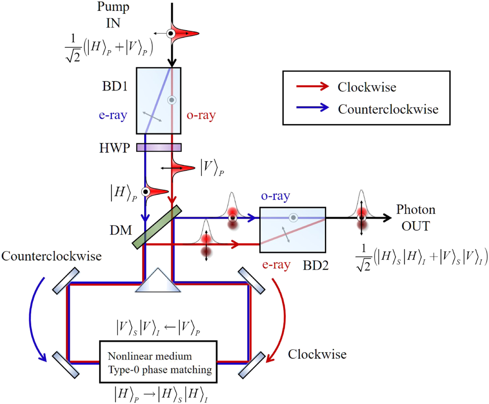 Sagnac-type entangled photon source using only conventional ...