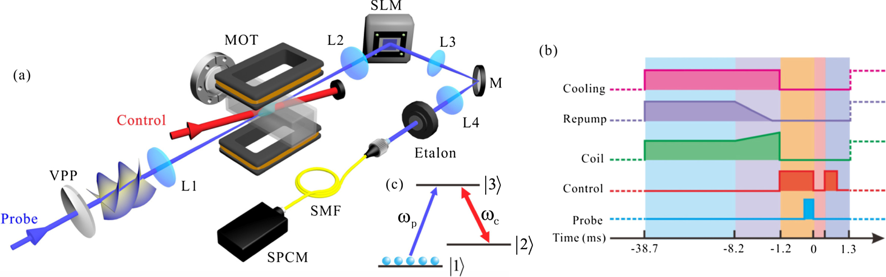 Efficient quantum memory of orbital angular momentum qubits in cold ...
