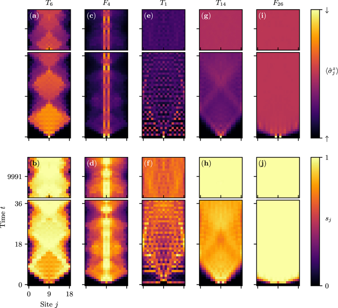 Entangled quantum cellular automata, physical complexity