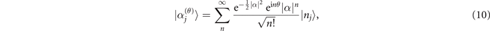 Equation (10)